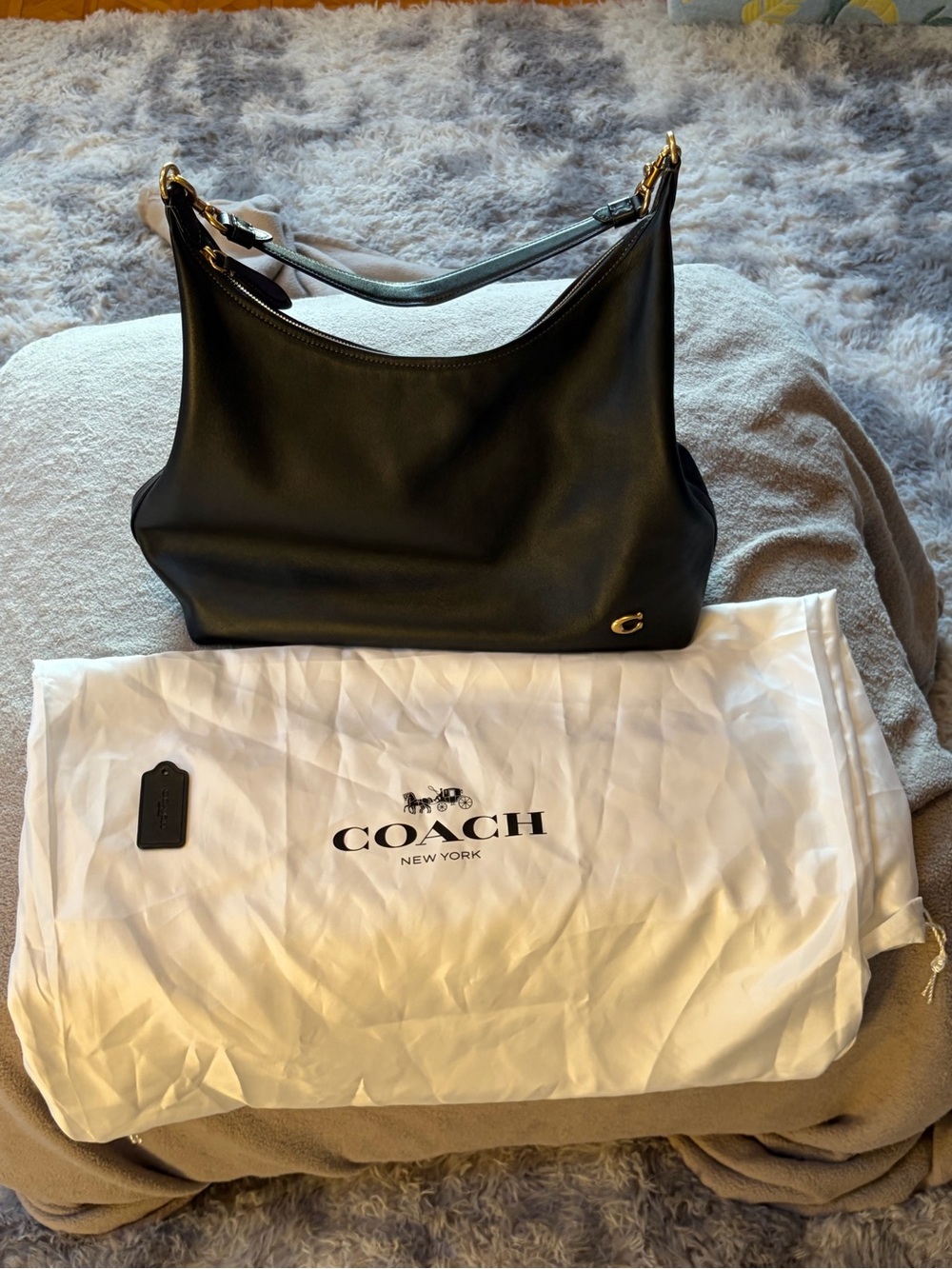 Coach Juliet 38 Shoulder Bag